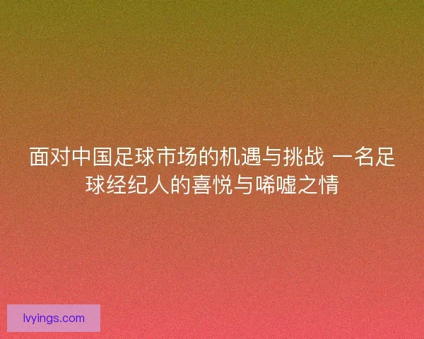 面对中国足球市场的机遇与挑战 一名足球经纪人的喜悦与唏嘘之情